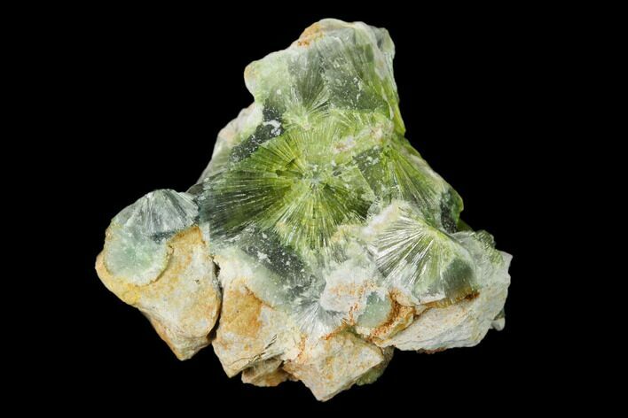 Radiating, Green Wavellite Crystal Aggregation - Arkansas #135942